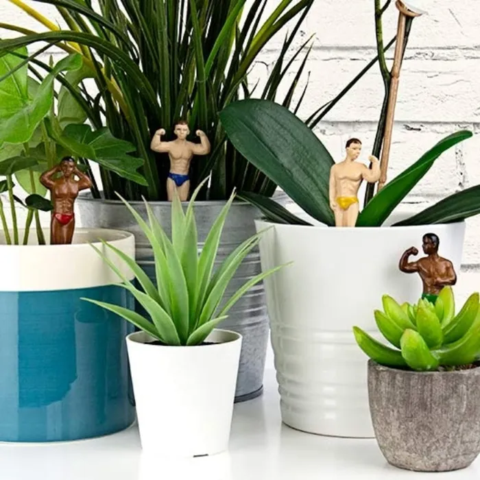 Mini Plant Pot Hunks Gift Republic Female Sex Toys