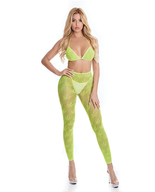 Rene Rofe Pink Lipstick All About Leaf Bra Leggings Os Vibrators