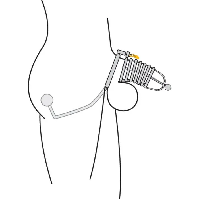CHASTITY CAGE CO Male Sex Toys Condemned Penetration Cage with Anal Insertion