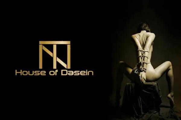 House of Dasein Couples Sex Pillows Wedges 2 Pcs Set Wedge Cushion Supportive Pillow Sex Position Enhancer Bdsm