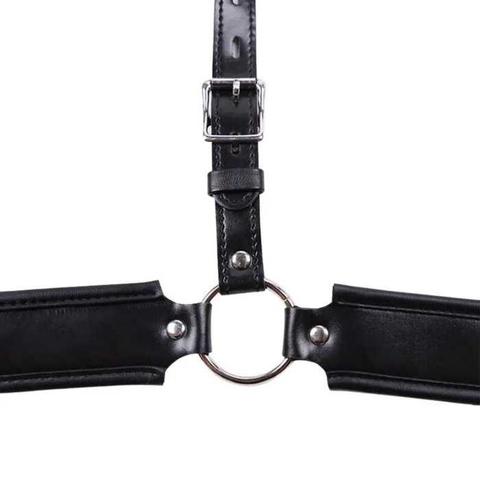 Male Chastity Belt CHASTITY CAGE CO Male Sex Toys
