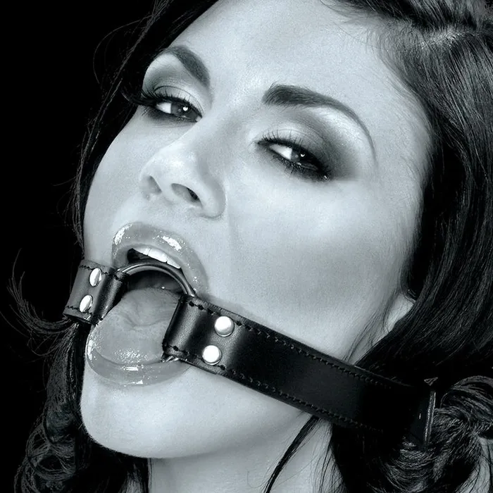 PD Products LLC Couples Fetish Fantasy Limited Edition ORing Gag