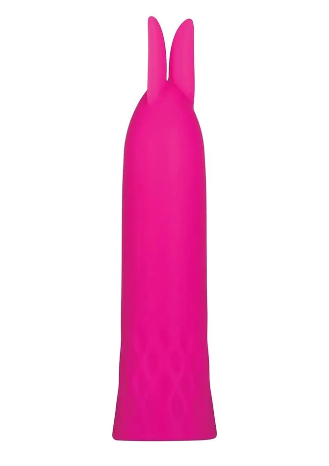 Vibrators Evolved Bunny Bullet The Evolved Company