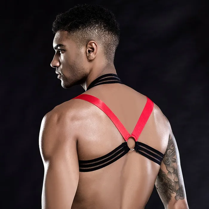 Jockstrap Tback Briefs with Elastic Chest Harness in Black Red Color Mens Sexy Underwear Set EVEs SECRETS Female Sex Toys