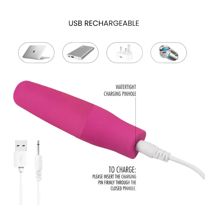 Ludus Powerful Mini Vibrator FRISKY BUSINESS SG Female Sex Toys