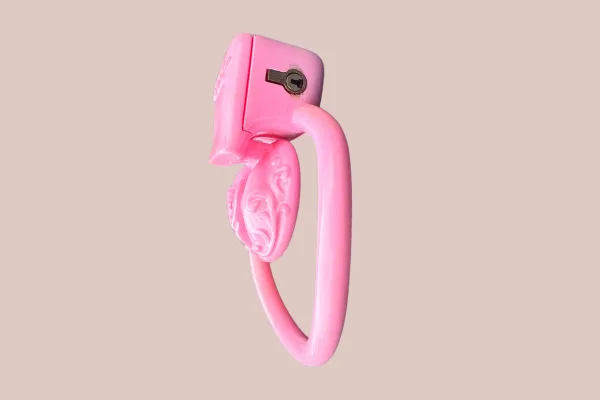 Male Sex Toys House of Chastity Ornate Scroll Sissy Pussy Micro Chastity Cage Kit With Missing Part