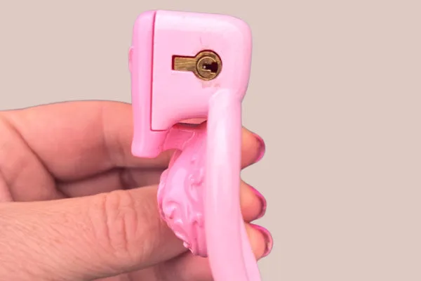 Male Sex Toys House of Chastity Ornate Scroll Sissy Pussy Micro Chastity Cage Kit With Missing Part