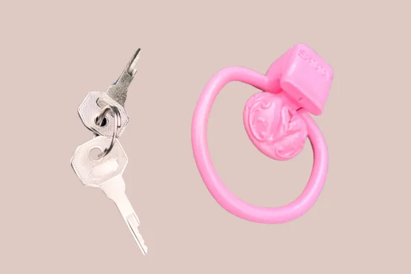 Male Sex Toys House of Chastity Ornate Scroll Sissy Pussy Micro Chastity Cage Kit With Missing Part