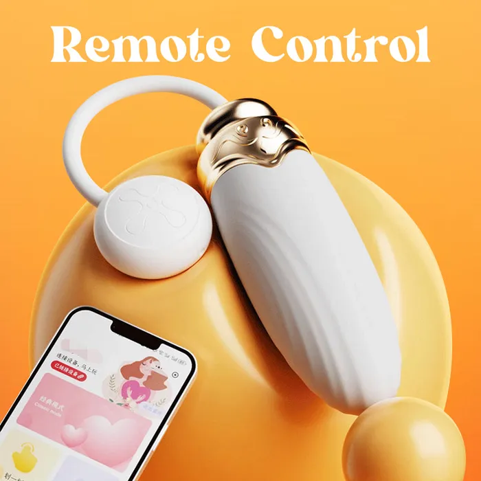 Vibrant Voyage Remote Control Egg Vibrator FRISKY BUSINESS SG Female Sex Toys