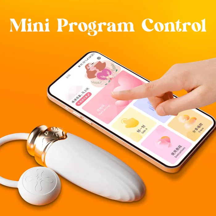 Vibrant Voyage Remote Control Egg Vibrator FRISKY BUSINESS SG Female Sex Toys