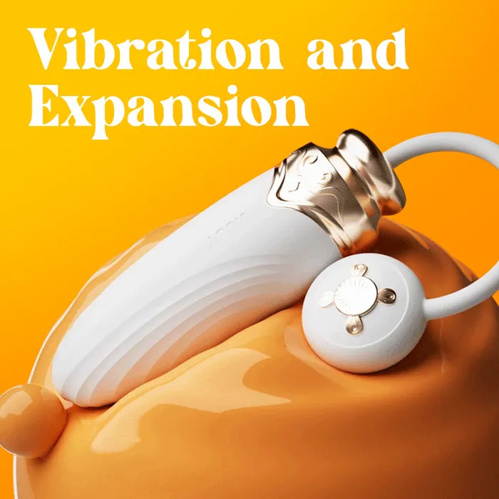 Vibrant Voyage Remote Control Egg Vibrator FRISKY BUSINESS SG Female Sex Toys