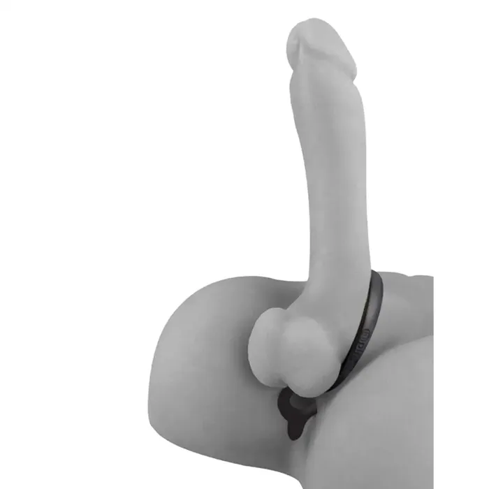 Anal Fantasy Male Sex Toys Anal Fantasy AssGasm Cock Ring Anal Beads
