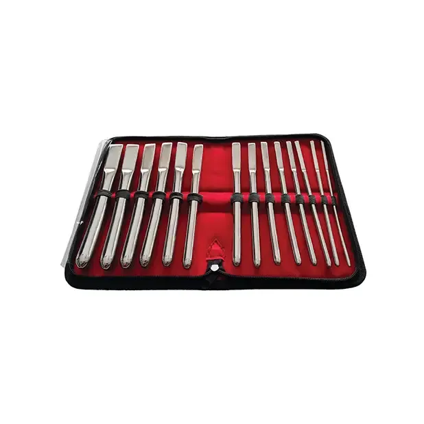 Dildos Rouge Rouge Stainless Steel Uterine Hegar Set 14 Pieces In Case