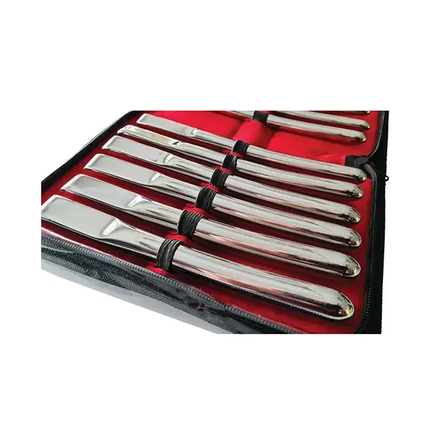 Dildos Rouge Rouge Stainless Steel Uterine Hegar Set 14 Pieces In Case Dildos Rouge Rouge Stainless Steel Uterine Hegar Set 14 Pieces In Case