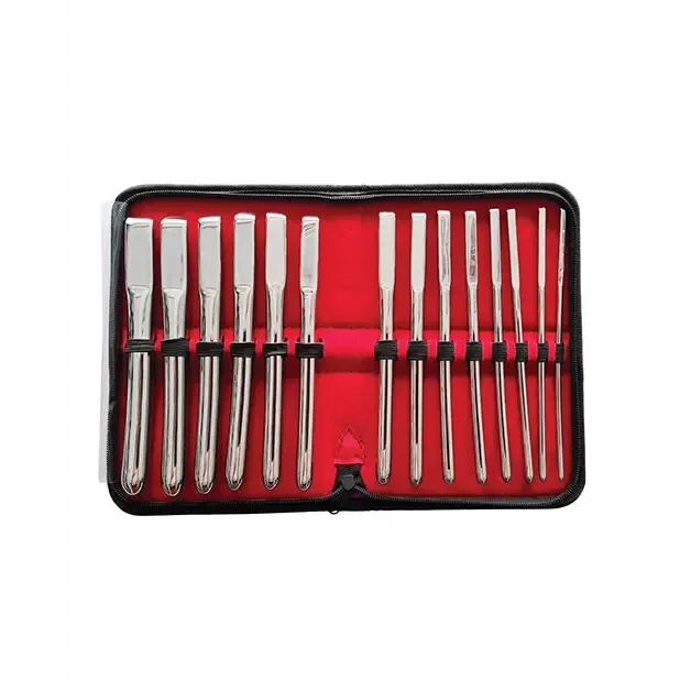 Dildos Rouge Rouge Stainless Steel Uterine Hegar Set 14 Pieces In Case Dildos Rouge Rouge Stainless Steel Uterine Hegar Set 14 Pieces In Case