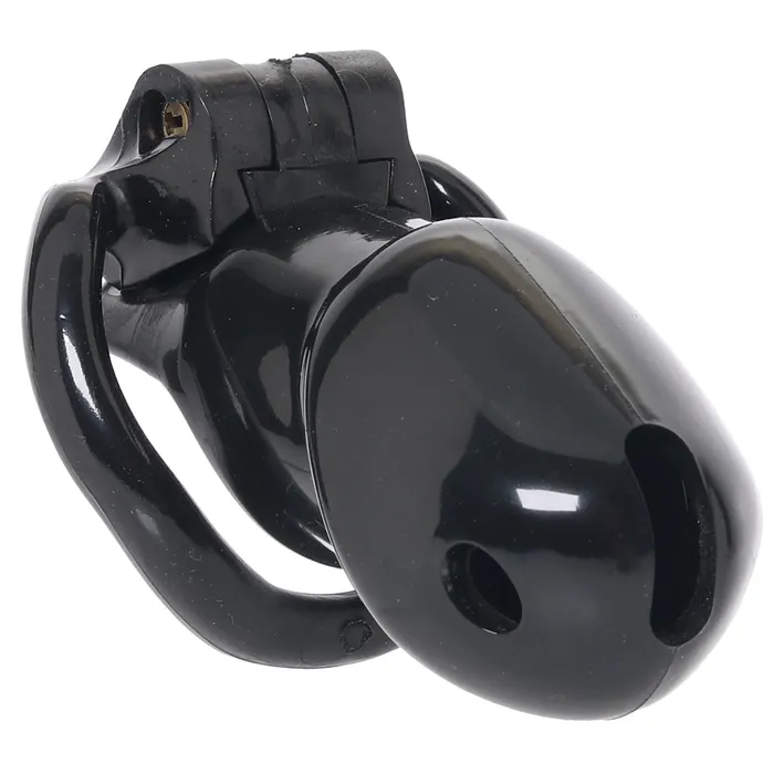 Electric Eel Anal Lockmaster 4 Inch Side Lock Resin Cock Cage in Black