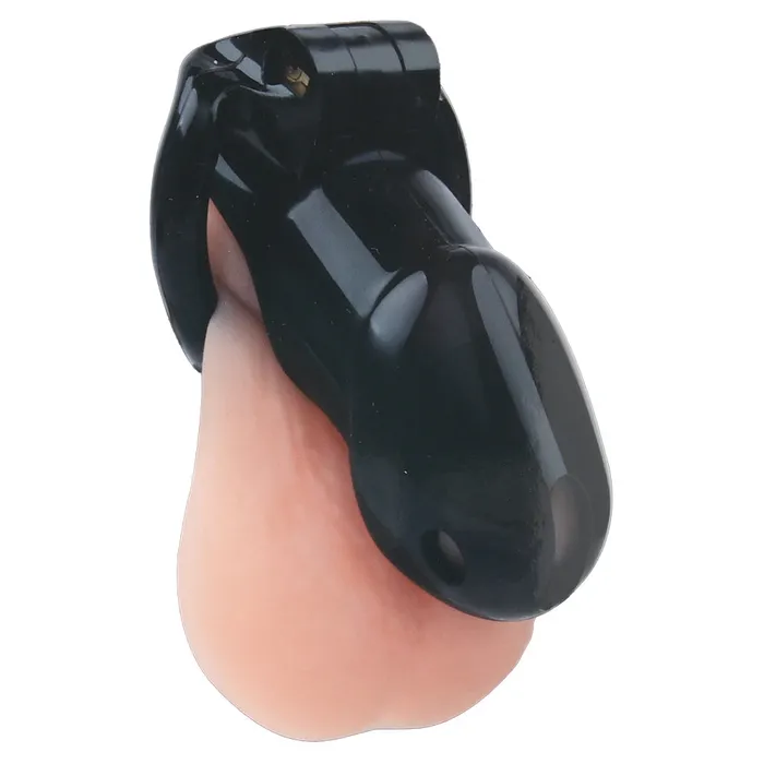 Electric Eel Anal Lockmaster 4 Inch Side Lock Resin Cock Cage in Black
