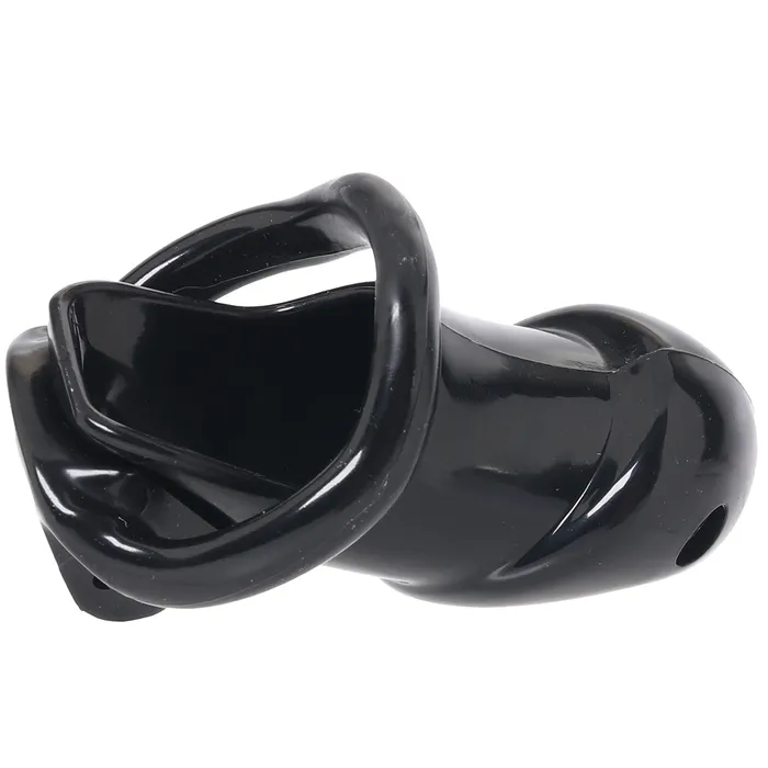 Electric Eel Anal Lockmaster 4 Inch Side Lock Resin Cock Cage in Black
