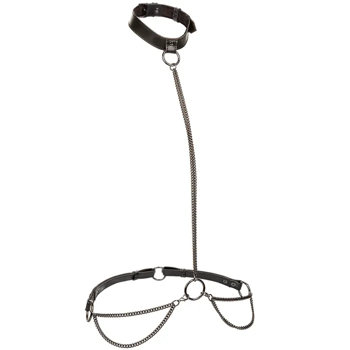 Euphoria Chain Collar Leash XL CalExotics Male Sex Toys