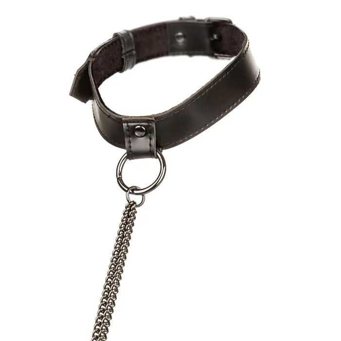 Euphoria Chain Collar Leash XL CalExotics Male Sex Toys