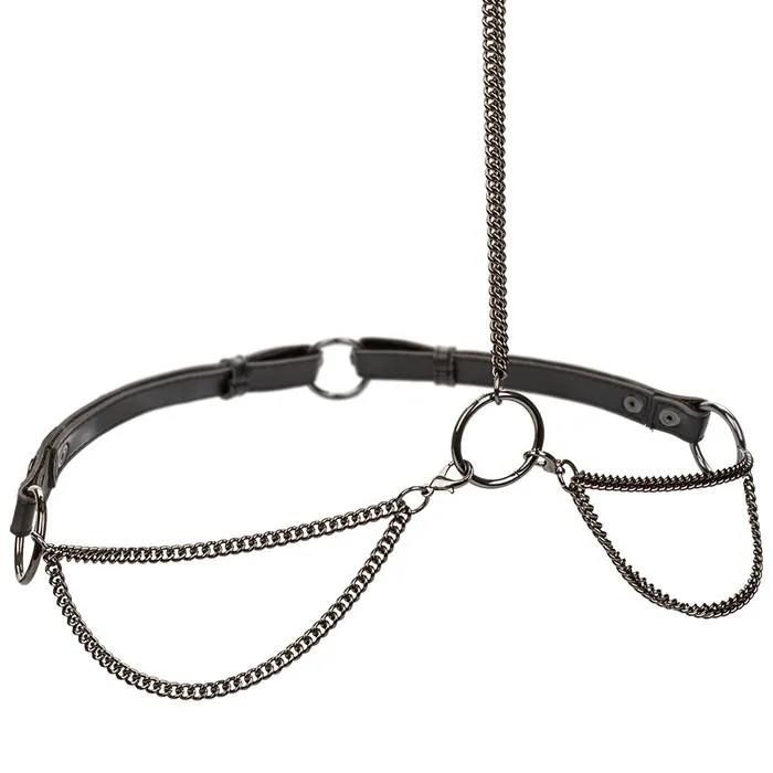 Euphoria Chain Collar Leash XL CalExotics Male Sex Toys