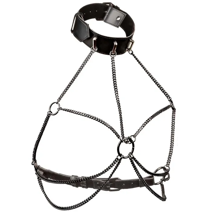 Euphoria Female Sex Toys Euphoria Multi Chain Collar Harness XL
