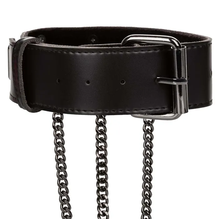 Euphoria Female Sex Toys Euphoria Multi Chain Collar Harness XL