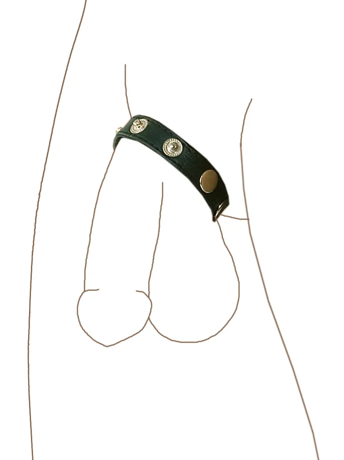 Female Sex Toys HonourSkintwocom Stud Cock Strap