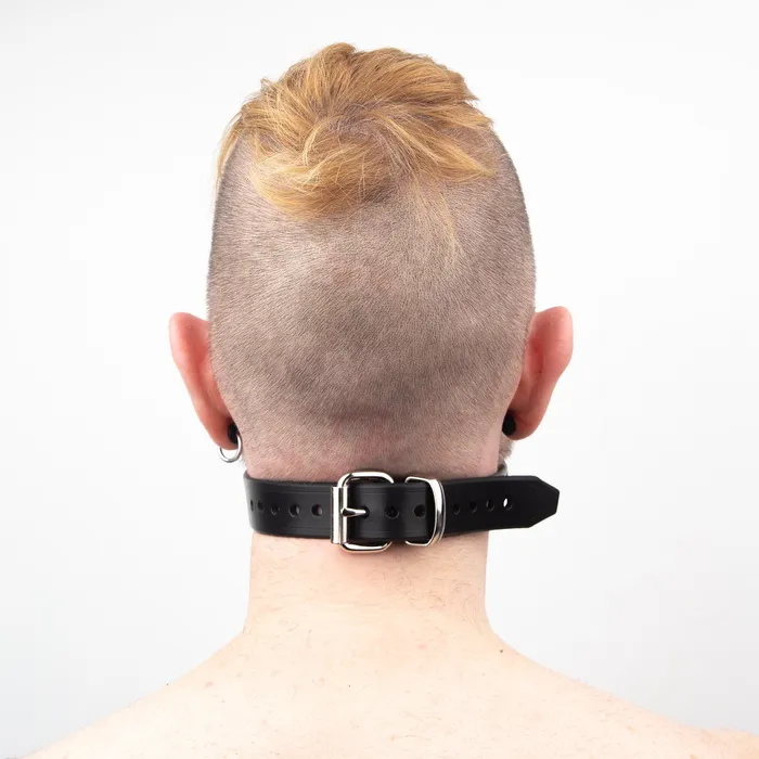 Fetters Male Sex Toys Fetters Ball Gag