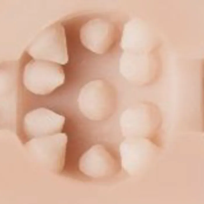 Fleshlight Male Sex Toys FLESHLIGHT GIRLS VAGINA STOYA DESTROYA