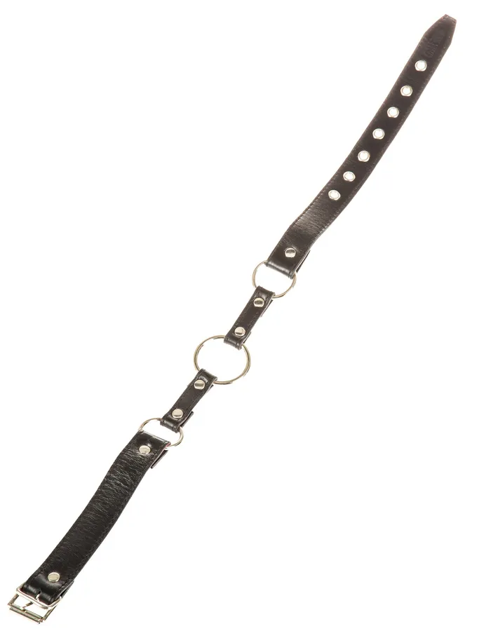 HonourSkintwocom Male Sex Toys Leather Strap ORing Gag HonourSkintwocom Male Sex Toys Leather Strap ORing Gag