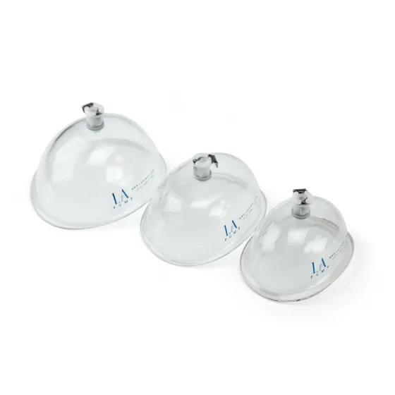 LA Pumps Vulva Cylinder Lapump Vibrators