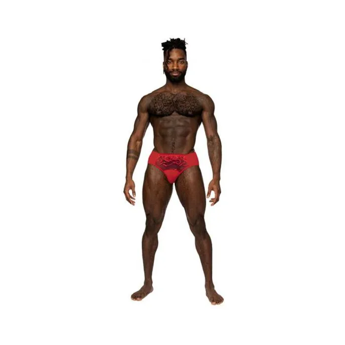 Male Power Male Sex Toys Male Power Sassy Lace Bikini Solid Pouch Red M