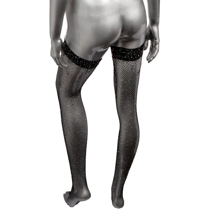 Male Sex Toys CalExotics Radiance Thigh High Stockings XL