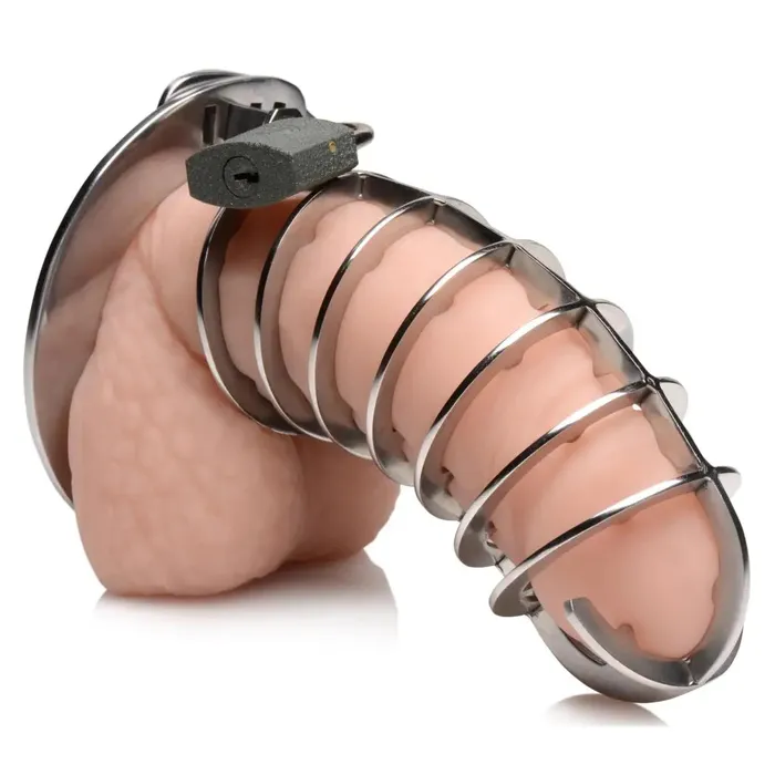 Male Sex Toys Master Series Stainless Steel Spiked Chastity Cage