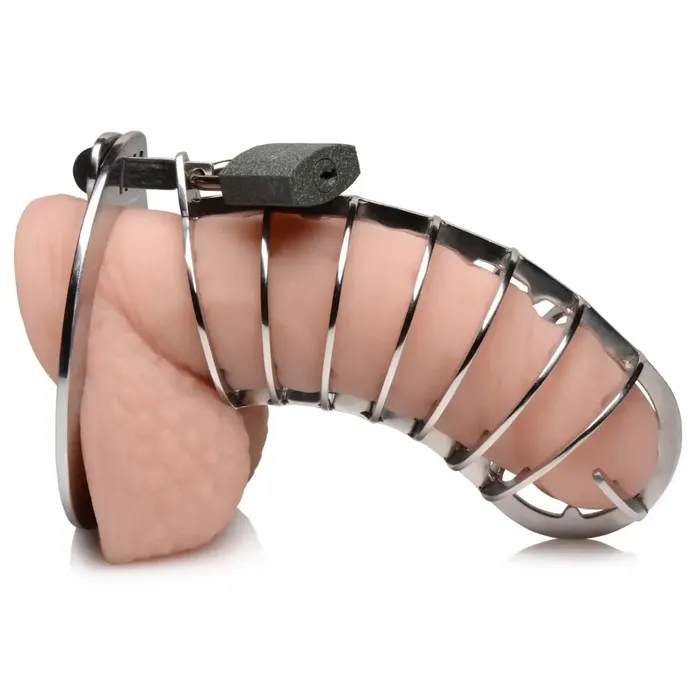 Male Sex Toys Master Series Stainless Steel Spiked Chastity Cage