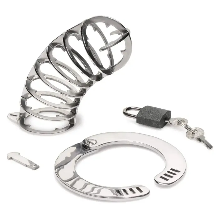 Male Sex Toys Master Series Stainless Steel Spiked Chastity Cage