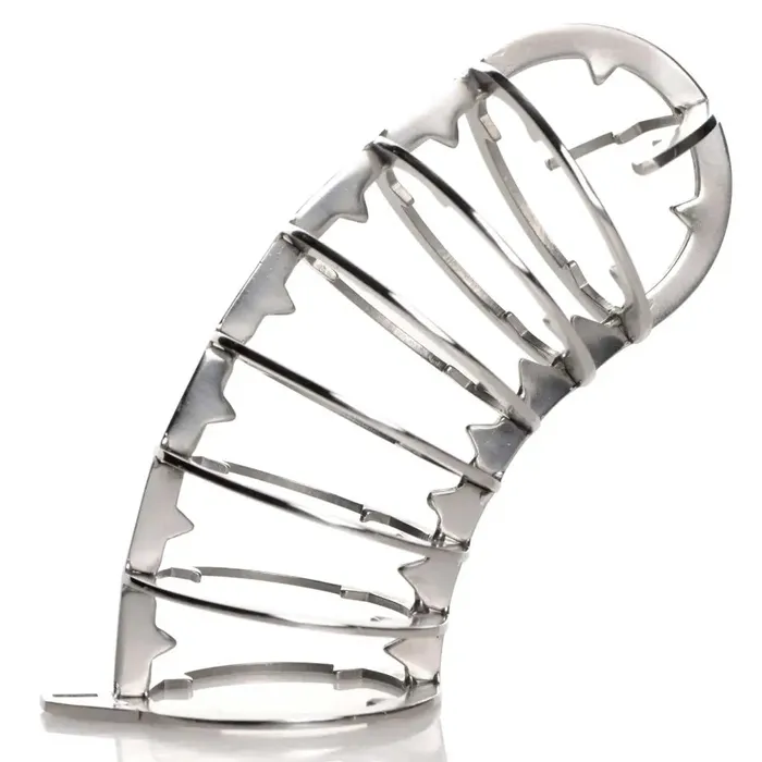 Male Sex Toys Master Series Stainless Steel Spiked Chastity Cage