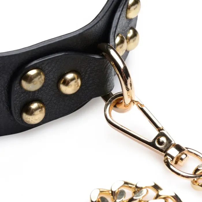 Master Series Gold Submission Bondage Kit Couples Master Series Gold Submission Bondage Kit Couples