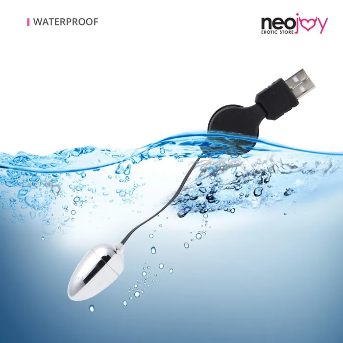 Neojoy Neojoy Small Silver Bullet USB Plug Bullet Vibrator Clitoral Anal Vaginal Stimulation Springback Wire Adult Sex Toy Female Sex Toys