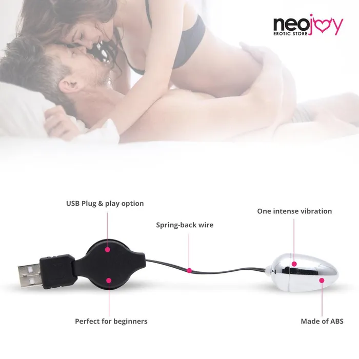 Neojoy Neojoy Small Silver Bullet USB Plug Bullet Vibrator Clitoral Anal Vaginal Stimulation Springback Wire Adult Sex Toy Female Sex Toys