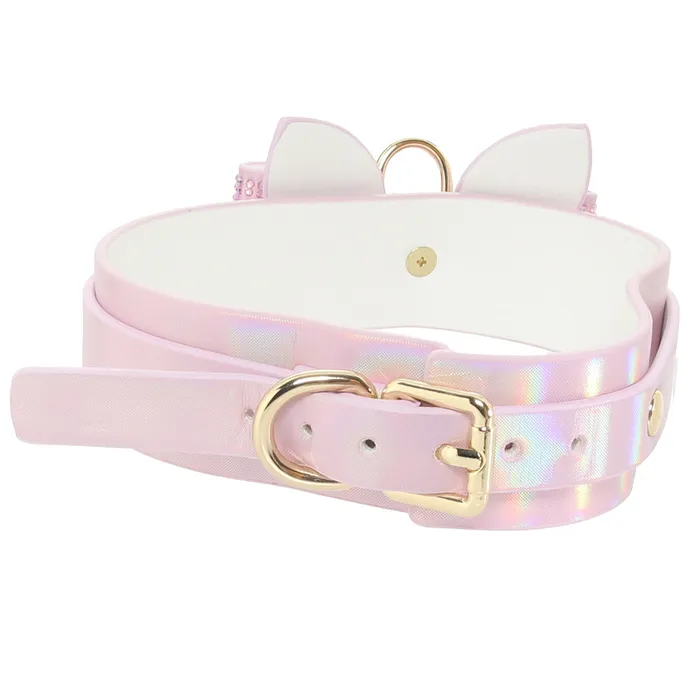 Ouch Paris Collection Collar Leash in Pink Shots Toys Vibrators