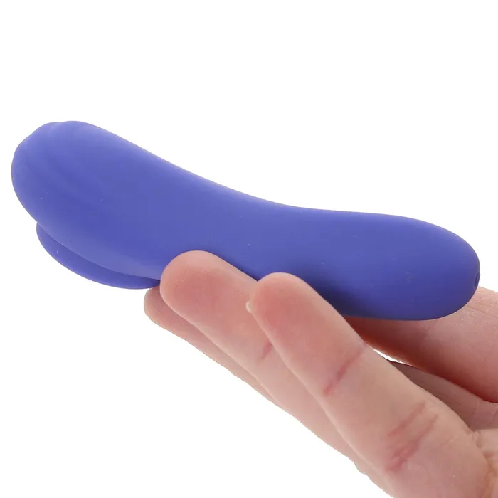 Vibrators CalExotics Connect App Controlled Panty Teaser Vibe
