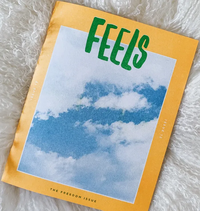 Vibrators Feels Zine Come As You Are