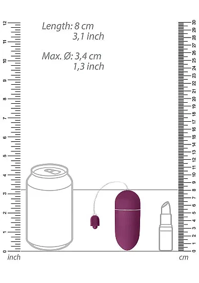 Vibrators HonourSkintwocom 10 Speed Vibrating Egg Purple