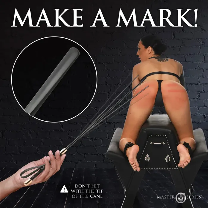 XR Brands Vibrators Sinful Impact Cane